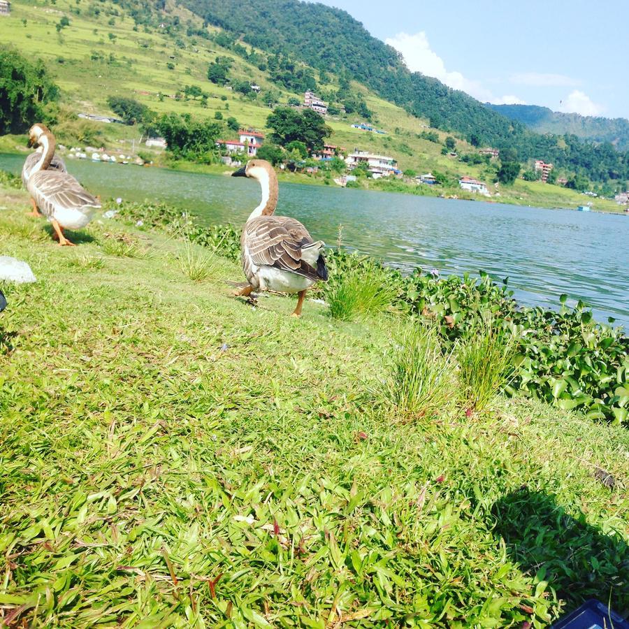 Sweet Dreams Hotel Pokhara Bagian luar foto